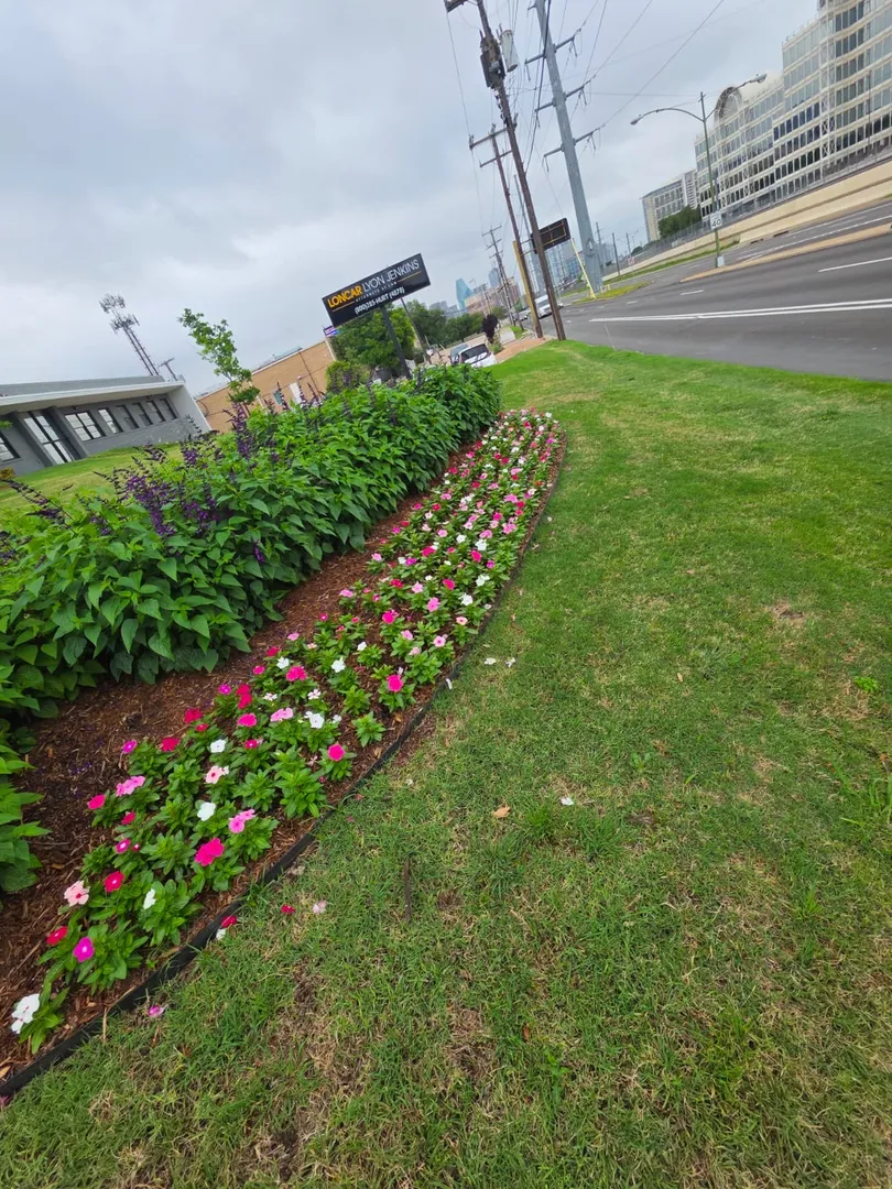 Landscaping services in Allen, TX